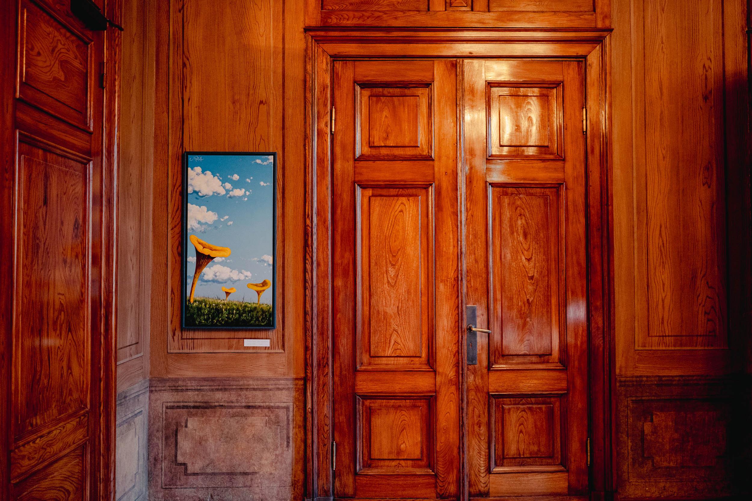 Navitrolla näitus “Selle liblika tiivalöök ei muuda mitte kusagil mitte midagi” 18