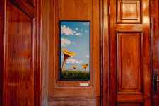 Navitrolla näitus “Selle liblika tiivalöök ei muuda mitte kusagil mitte midagi” 25