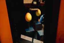 Navitrolla näitus “Selle liblika tiivalöök ei muuda mitte kusagil mitte midagi” 72